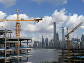 深化“放管服”改革優(yōu)化營(yíng)商環(huán)境視角下的工程建設(shè)項(xiàng)目審批——兼薦《工程項(xiàng)目建設(shè)程序（第二版）》